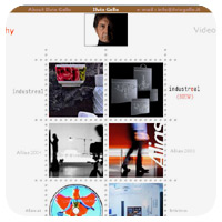 www.ilviogallo.com